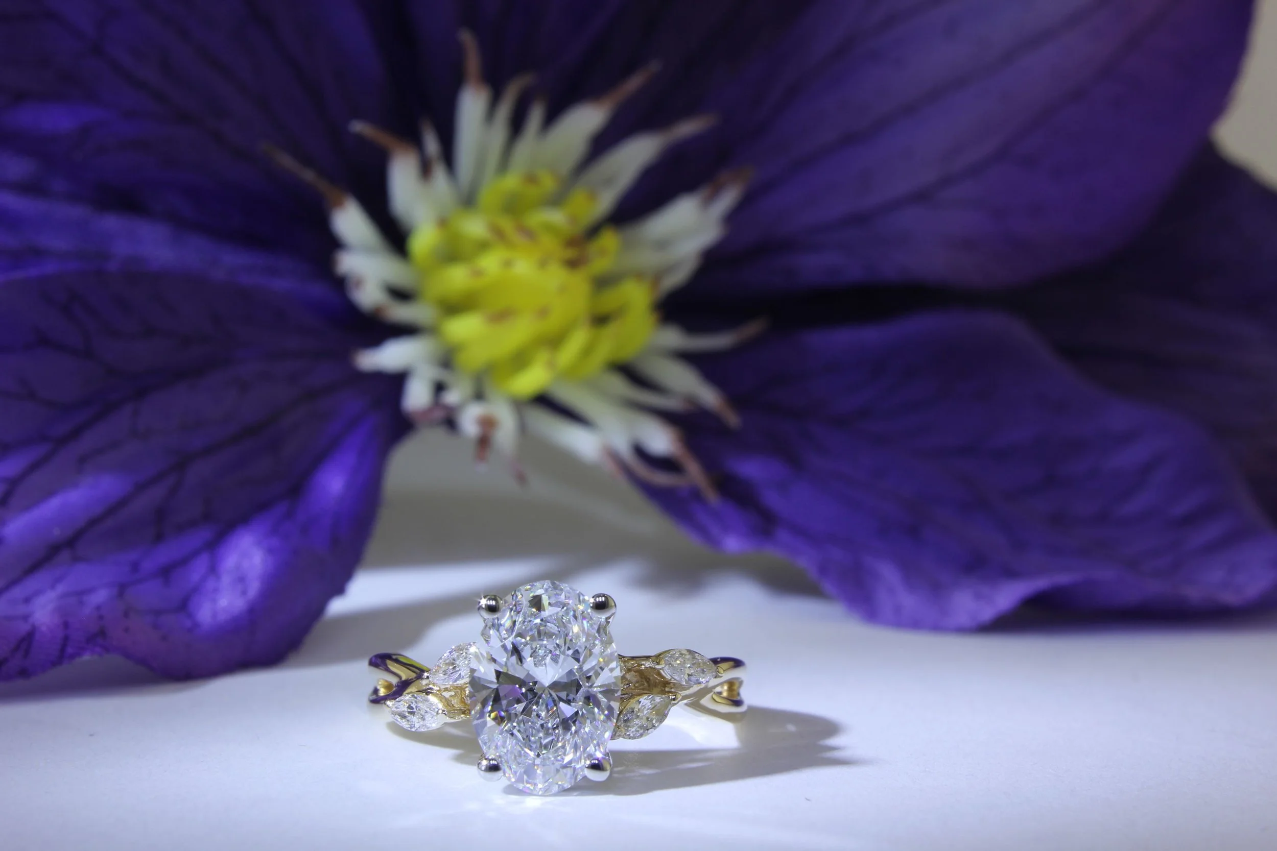 iPhoto:62155.jpg