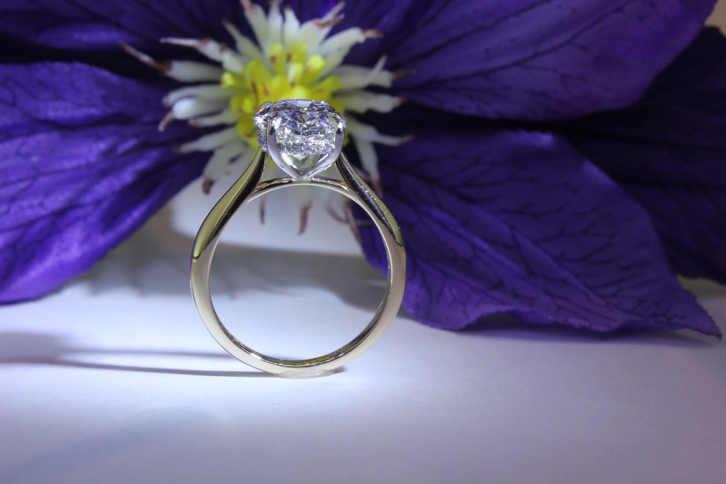 iPhoto:62129.jpg
