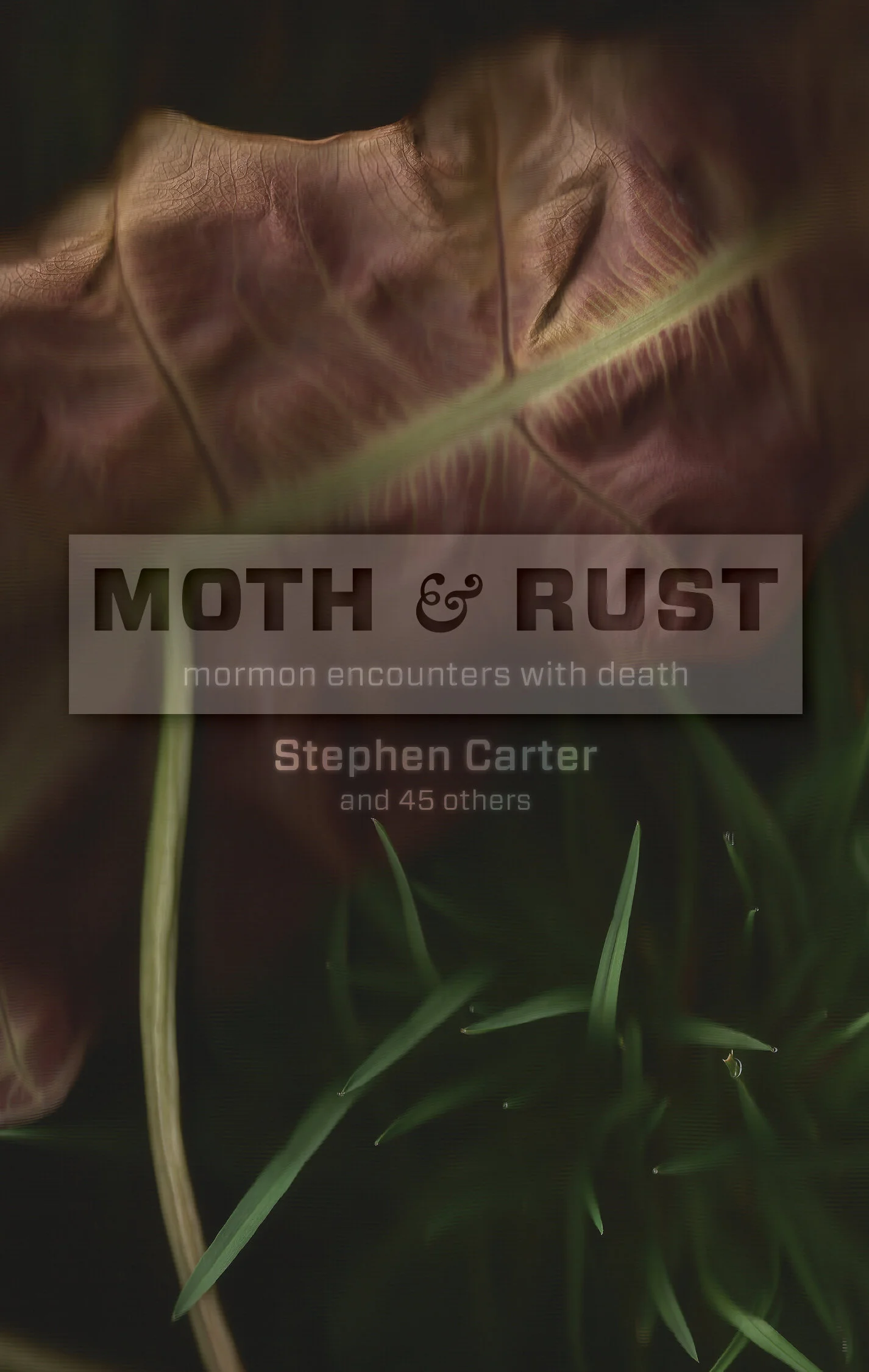 Moth-and-Rust.jpg