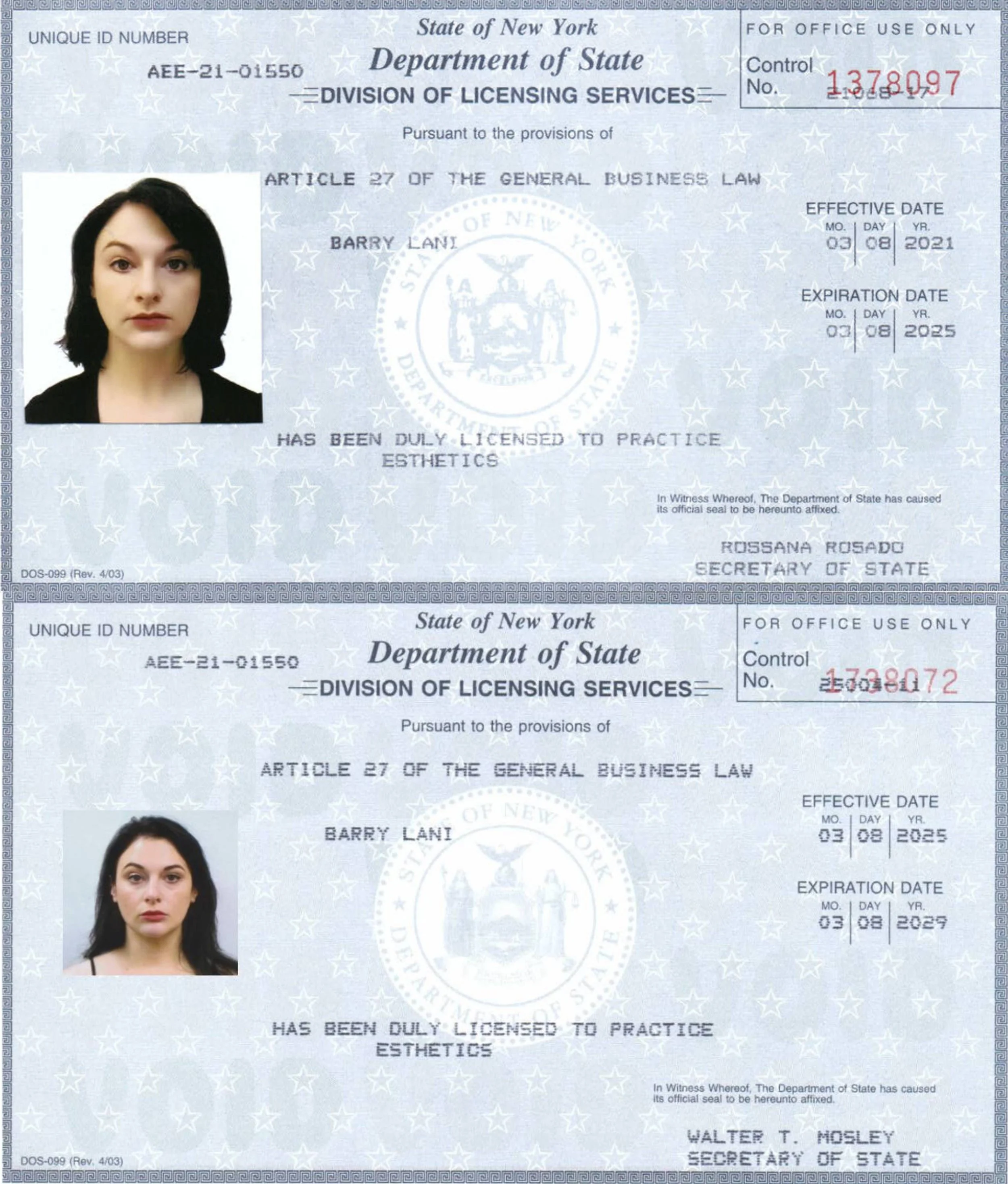 Two New York State Department of State aesthetician licenses, one for a woman with dark hair and one for a woman with straight dark hair, both with photos, license numbers, and expiration dates.