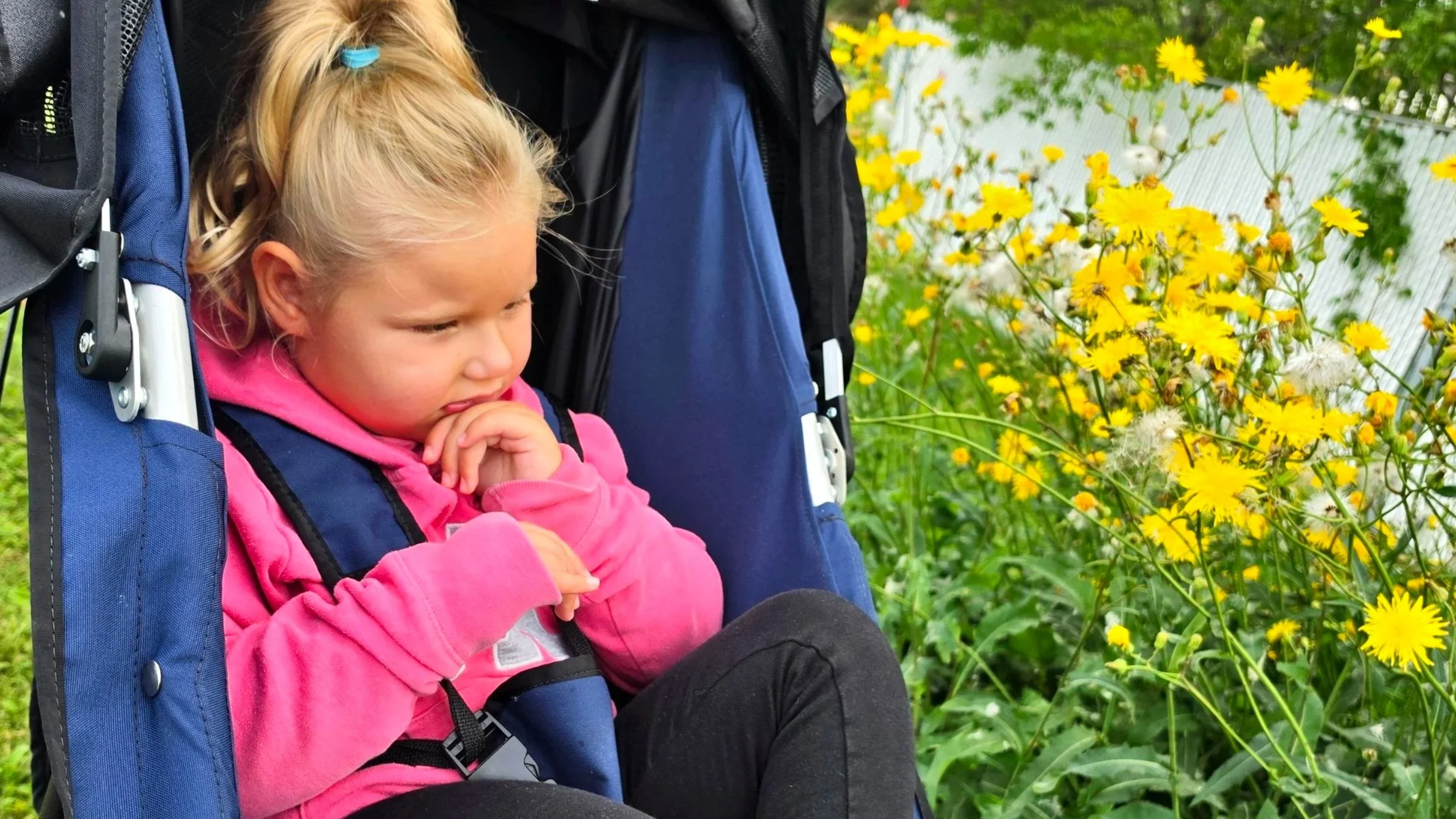 Kira has long blonde hair pulled into a pony tail. She is sitting outside in her pushchair wearing a bright pink hoodie. Behind her are lots of bright yellow flowers.
