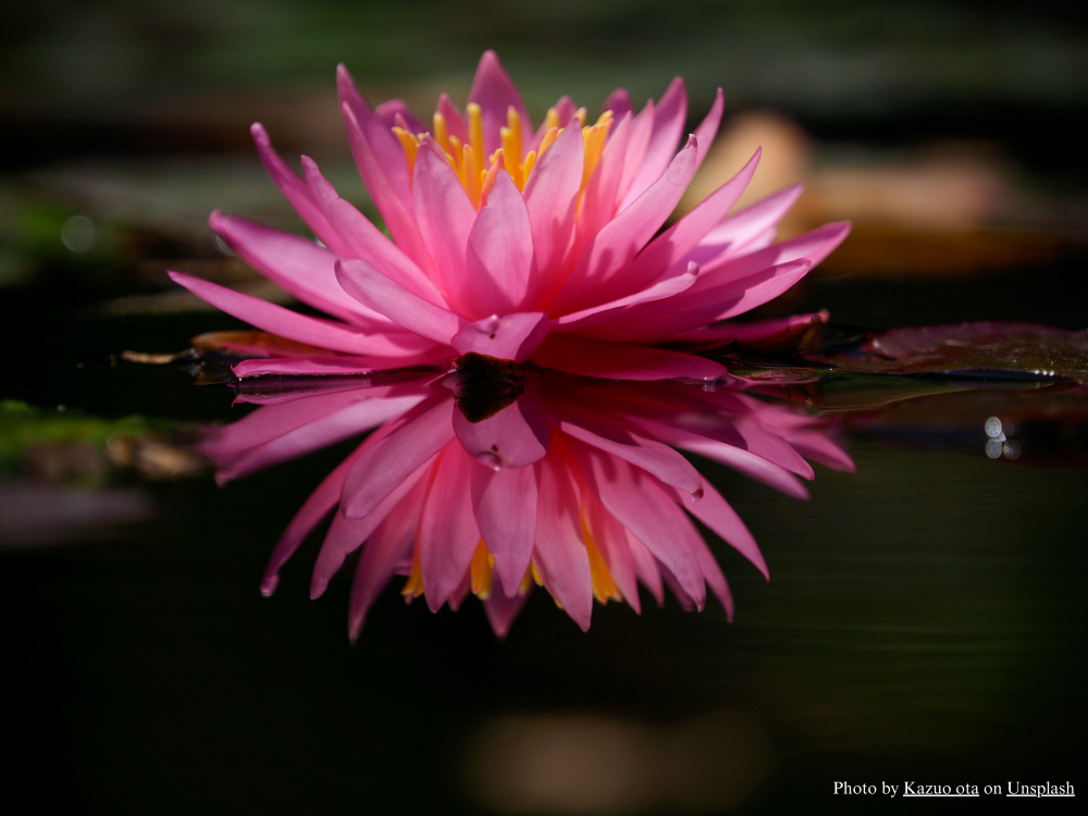 Healing The Sister Wound - Online