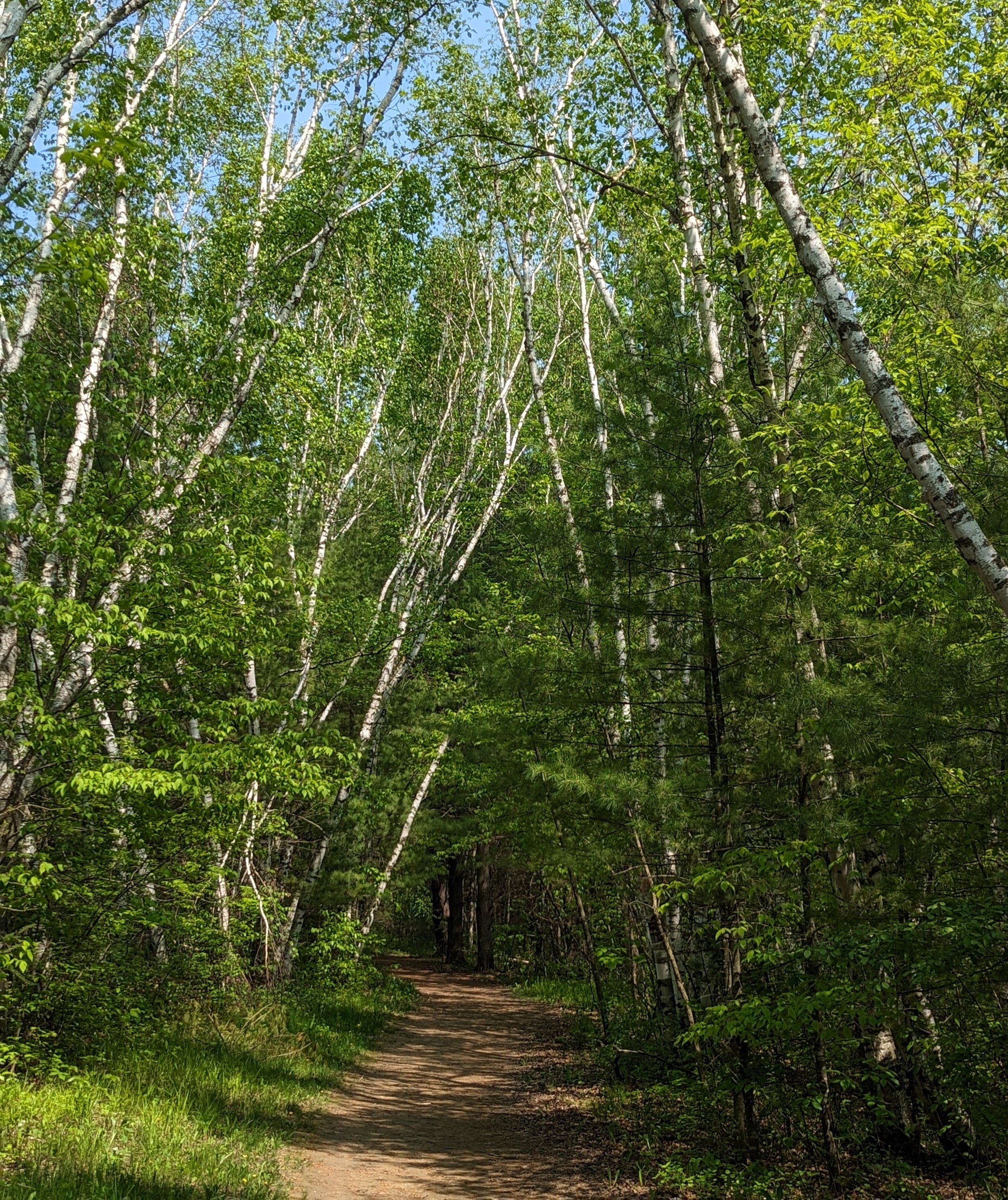 Passed Life Regression for Empowerment & Strength