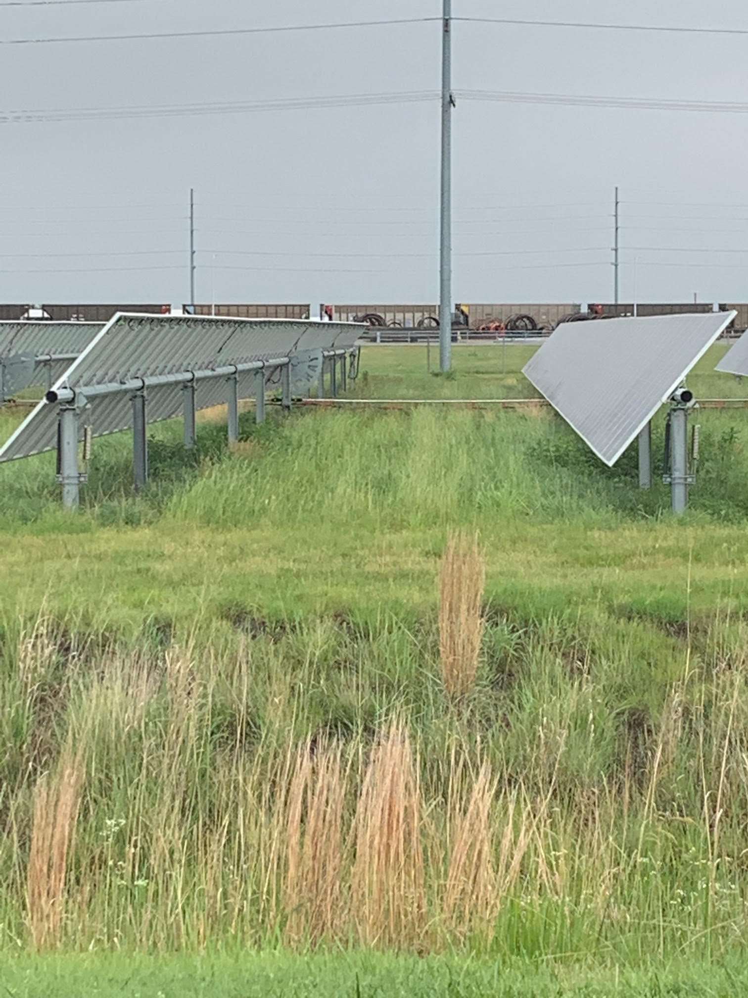 solar farm.jpg