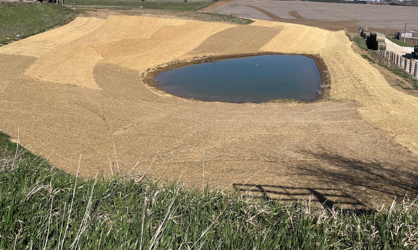 Pond1.jpg