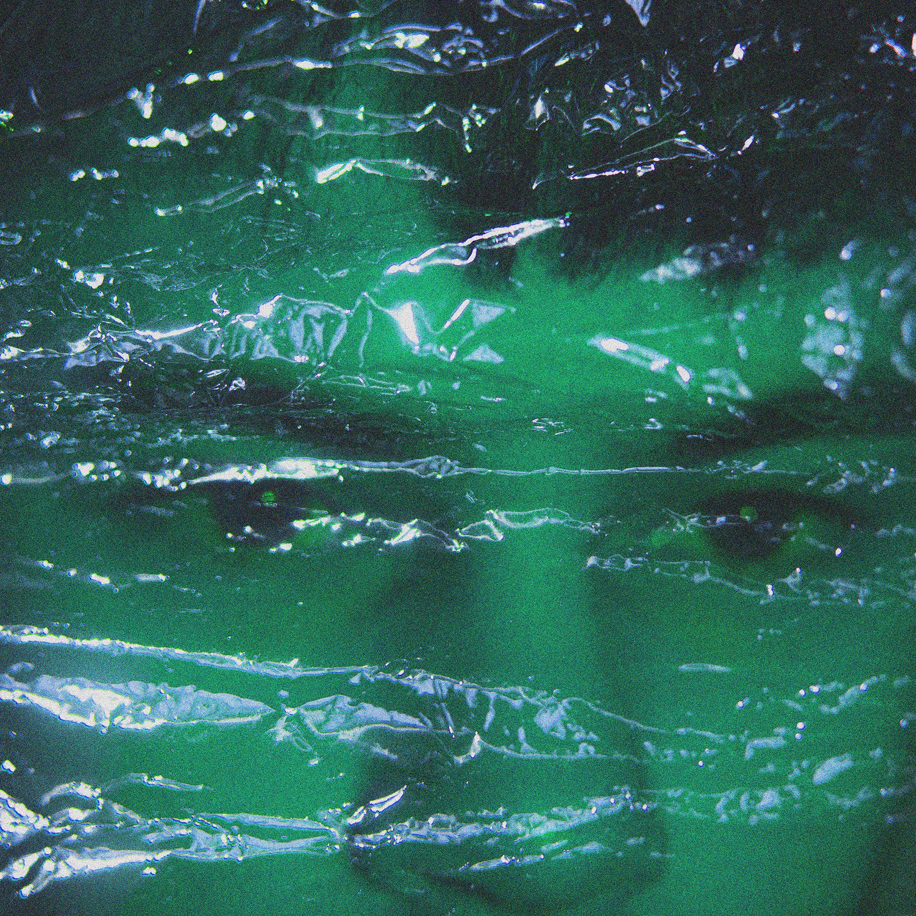 DSC_3780  2.0 EDIT.JPG