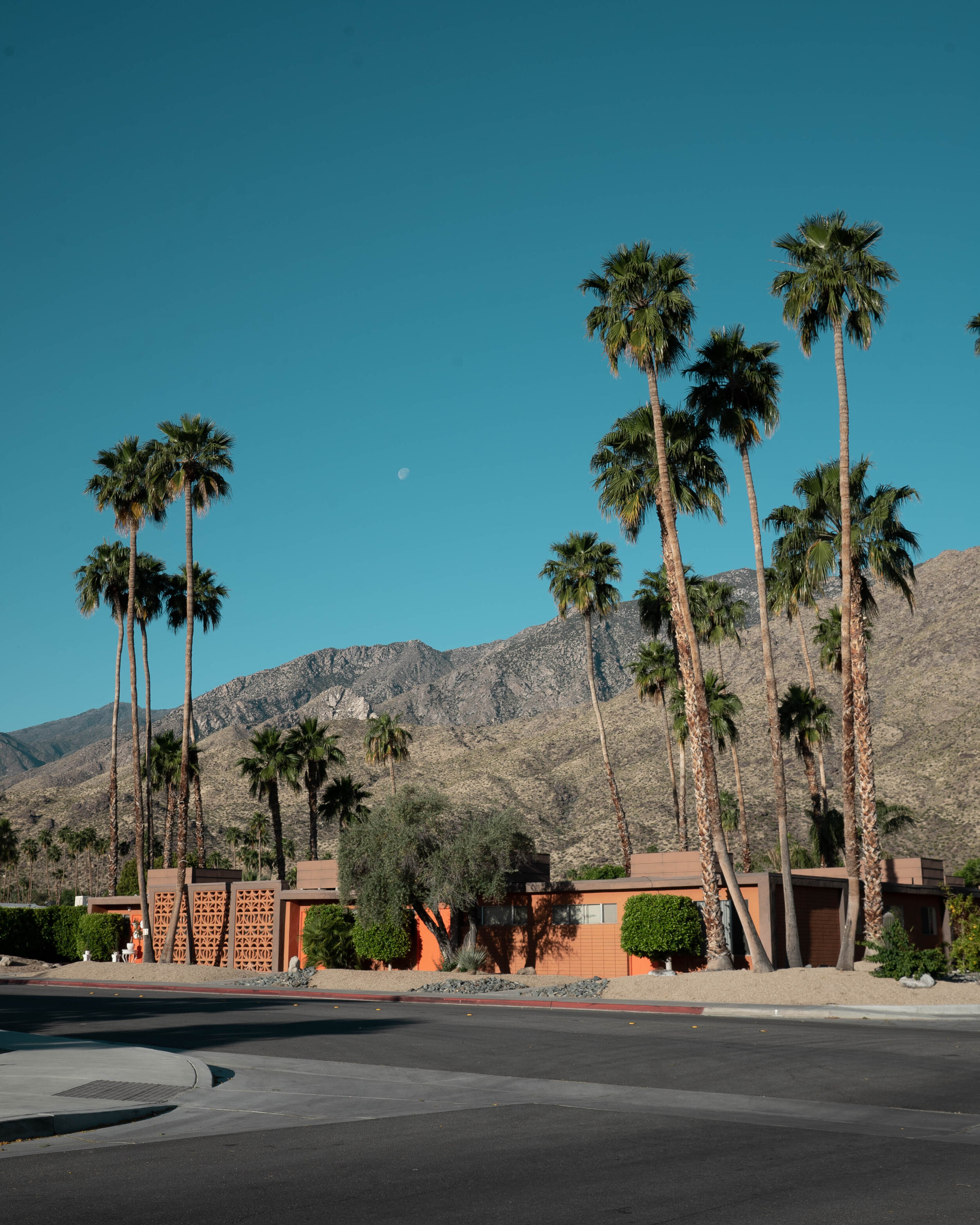 palm springs architecture