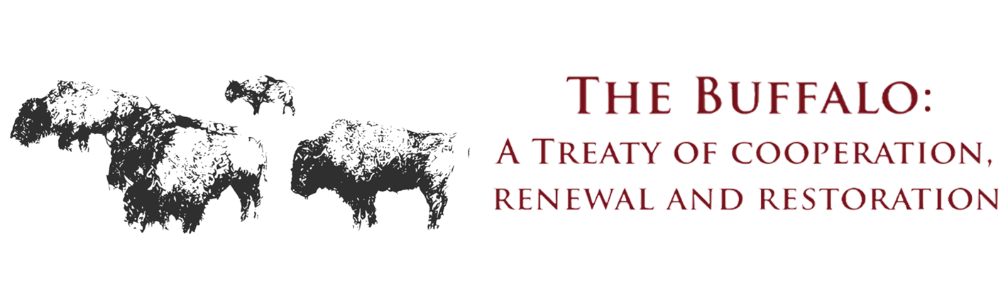 Buffalo Treaty