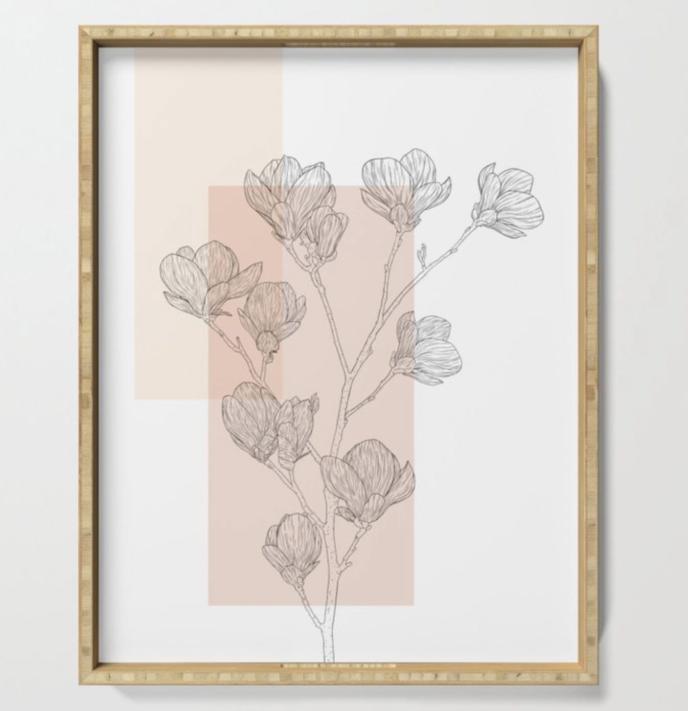 Screen Shot 2022-01-31 at 11.16.08 AM.png