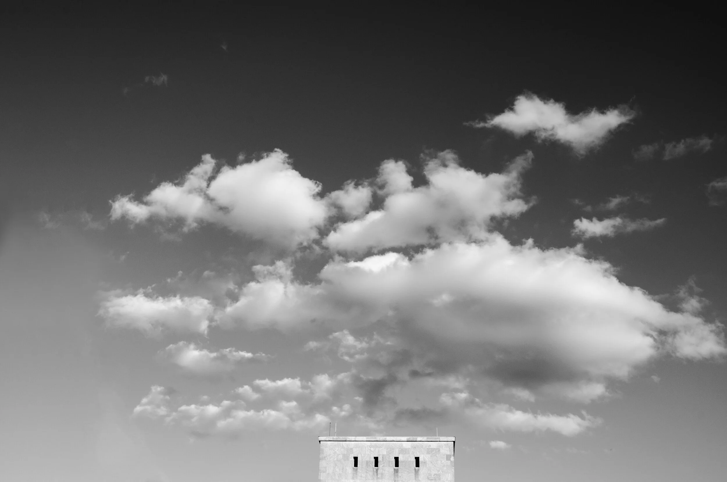 DSC_8260-2.jpg