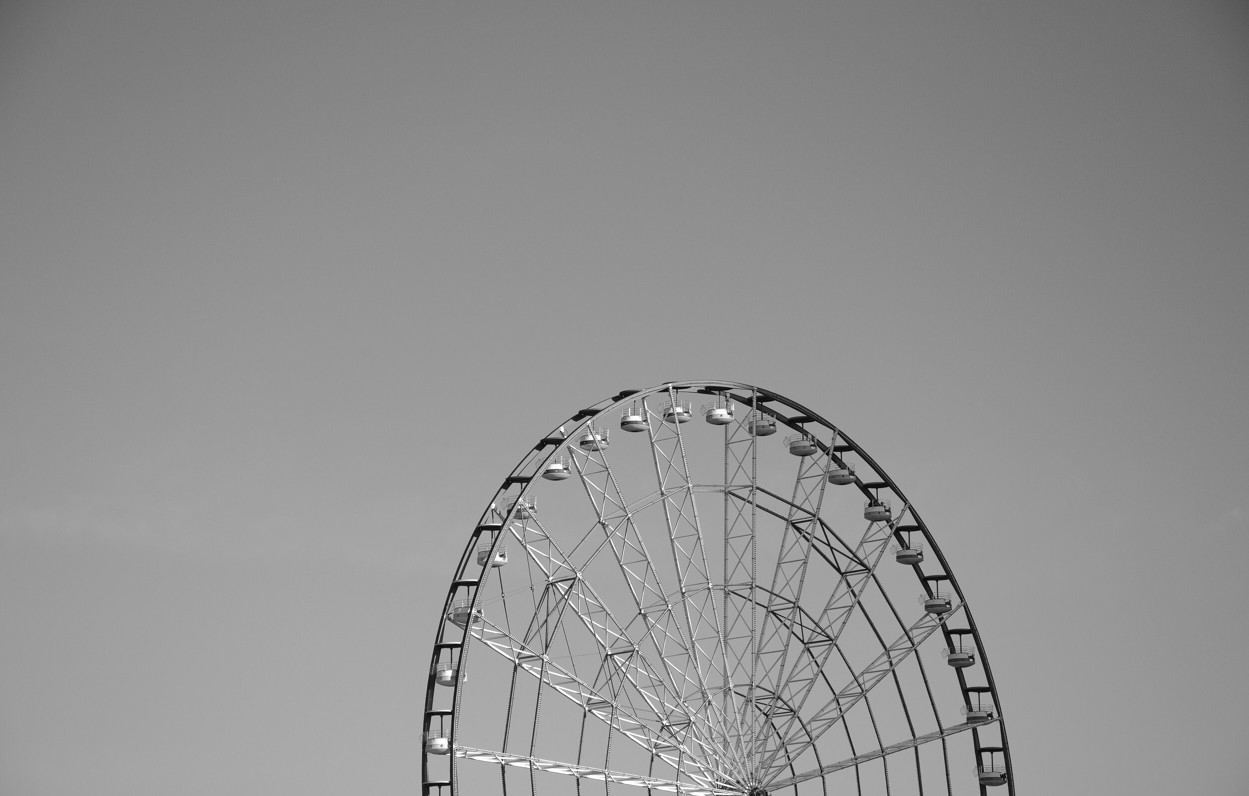 DSC_8729.jpg