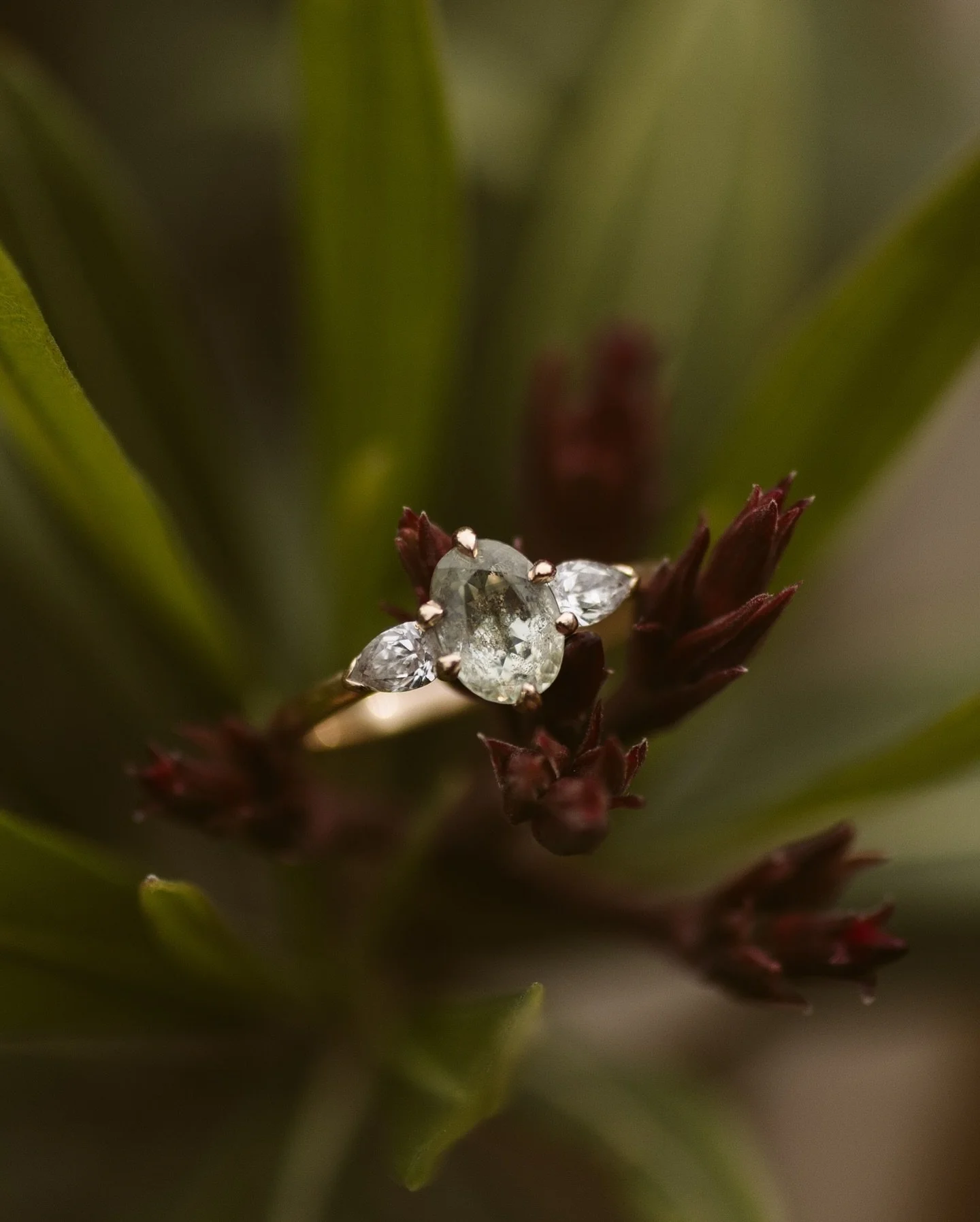 A trilogy in pale green sapphire and dreamy ocean diamonds.

Gorgeous photos from my clients special day ❤️ shot by @alejandrasalido ✨

#trilogyengagementring #engagementring #sapphireengagementring #sapphirering #sapphireanddiamonds #diamondring #be