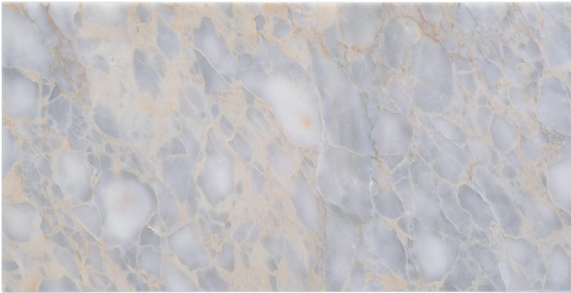 KS-3087-12x24-Forest-Gray-Polished-Tile.jpg