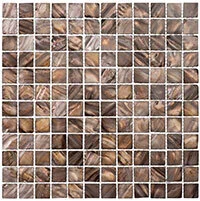 S12-shell-brown.jpg