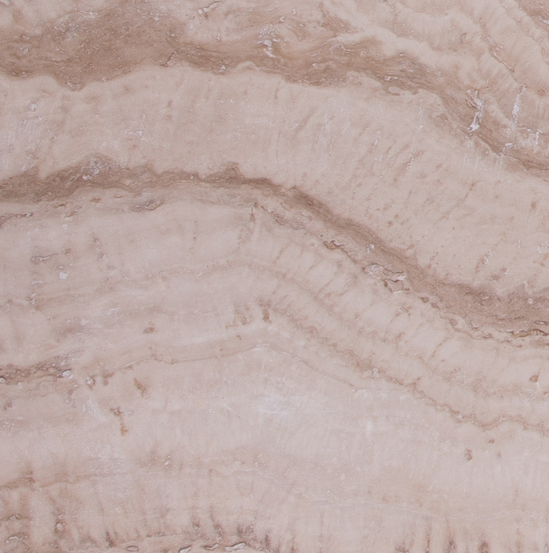 Bone Thumbnail Image.png