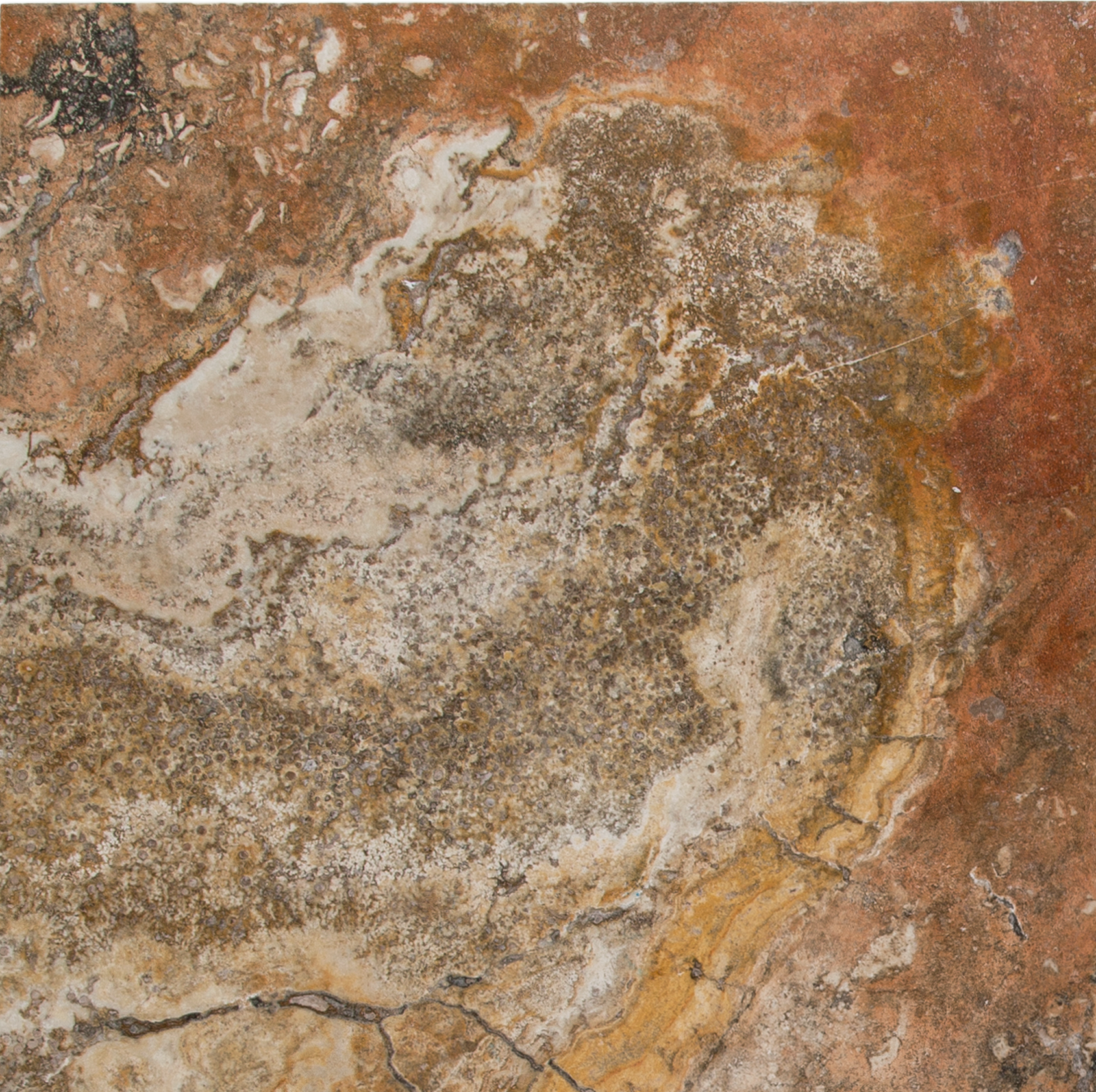 Escabesa Thumbnail Image.png