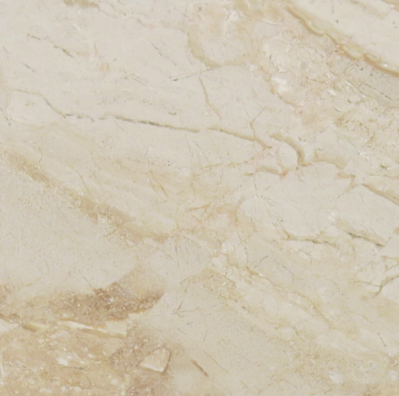 Daino Thumbnail Image.png