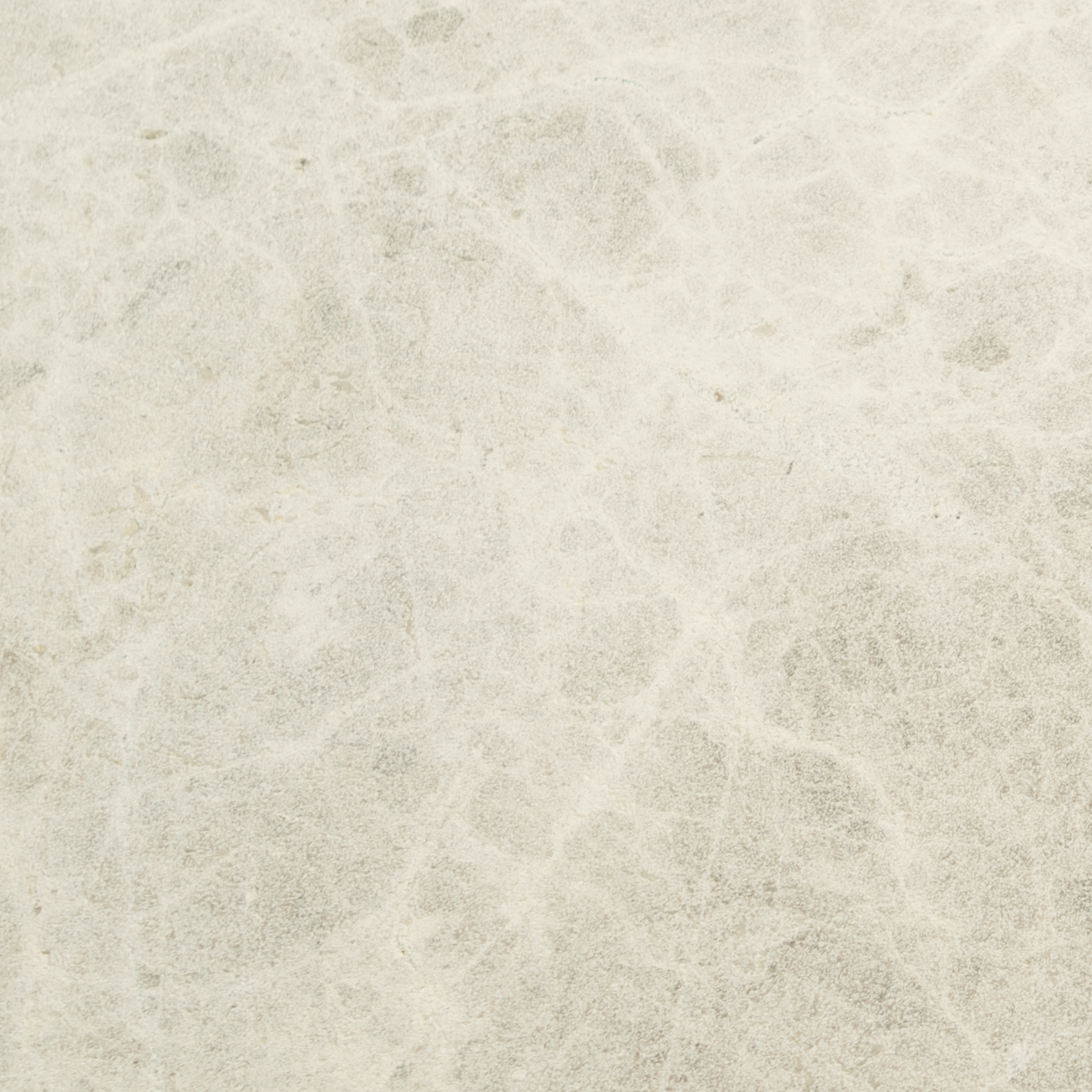 Blue Moon Thumbnail Image (2).png