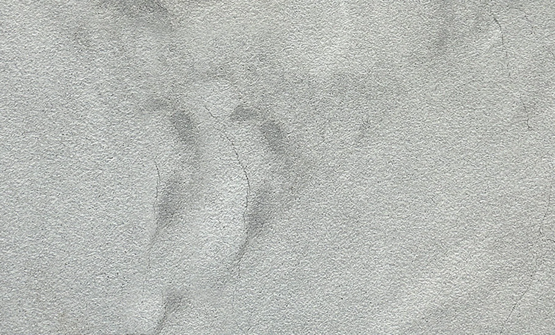 KS-3004-12x24-Belfonte-Marble-Polished-Tile.jpg