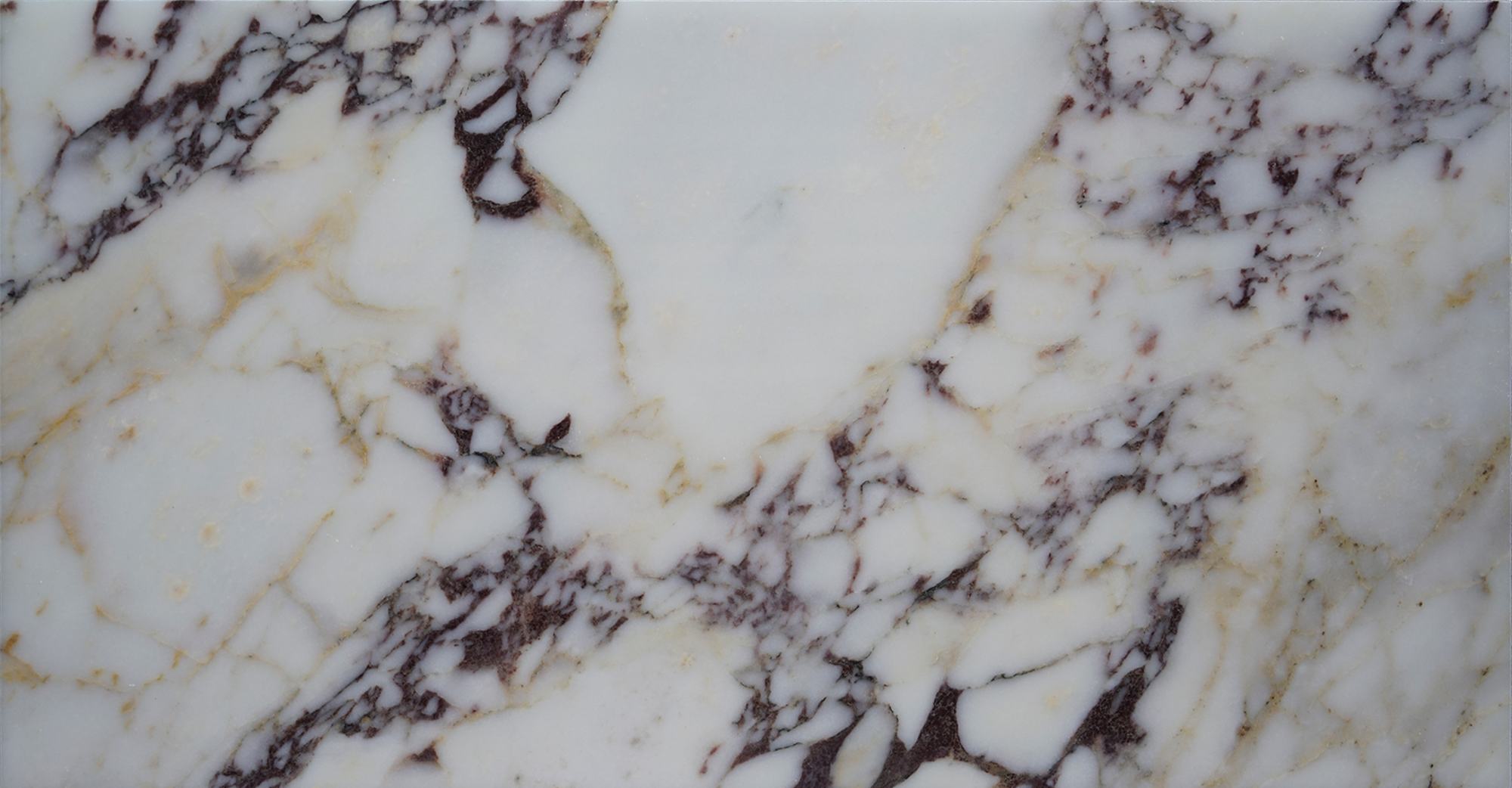 KS-3085-12x24-Viola-Polished-Tile-01.png