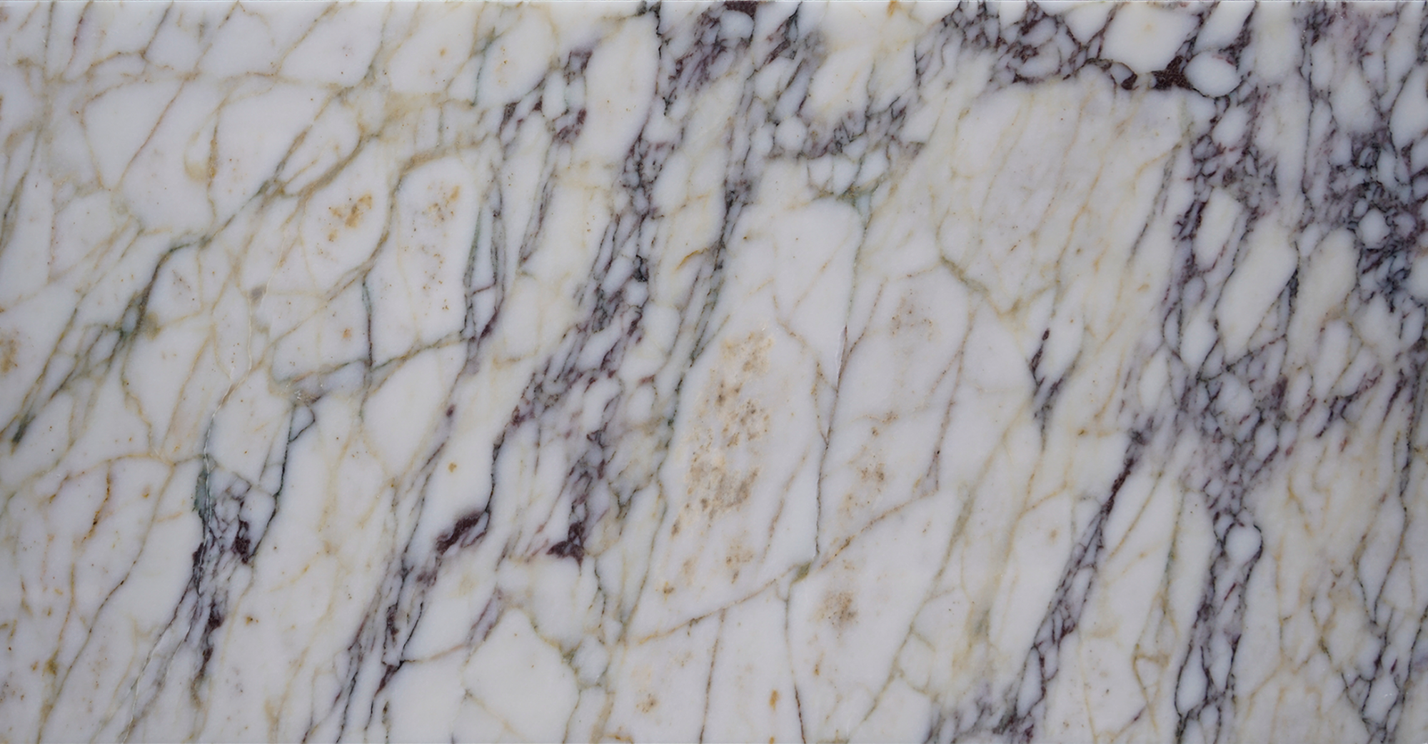 KS-3085-12x24-Viola-Polished-Tile-02.png