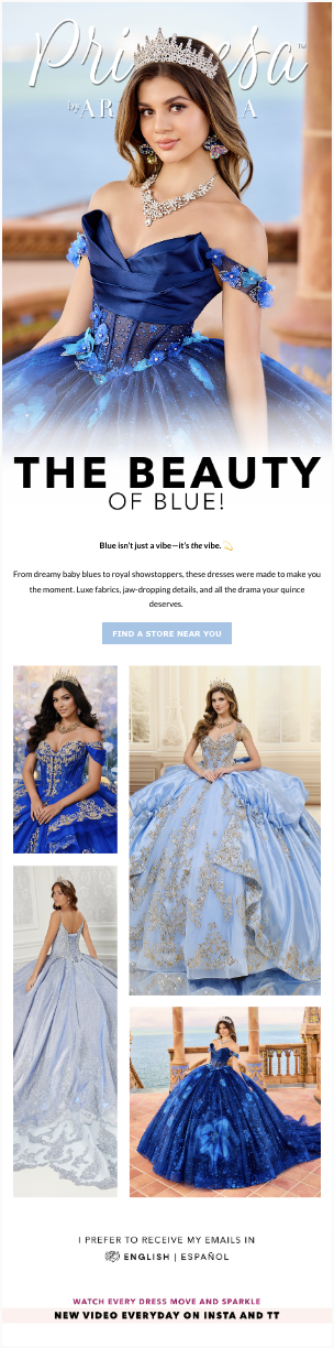 princesa consumer email