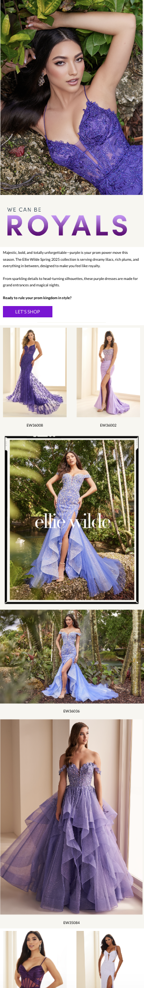 ellie wilde consumer email - SP25