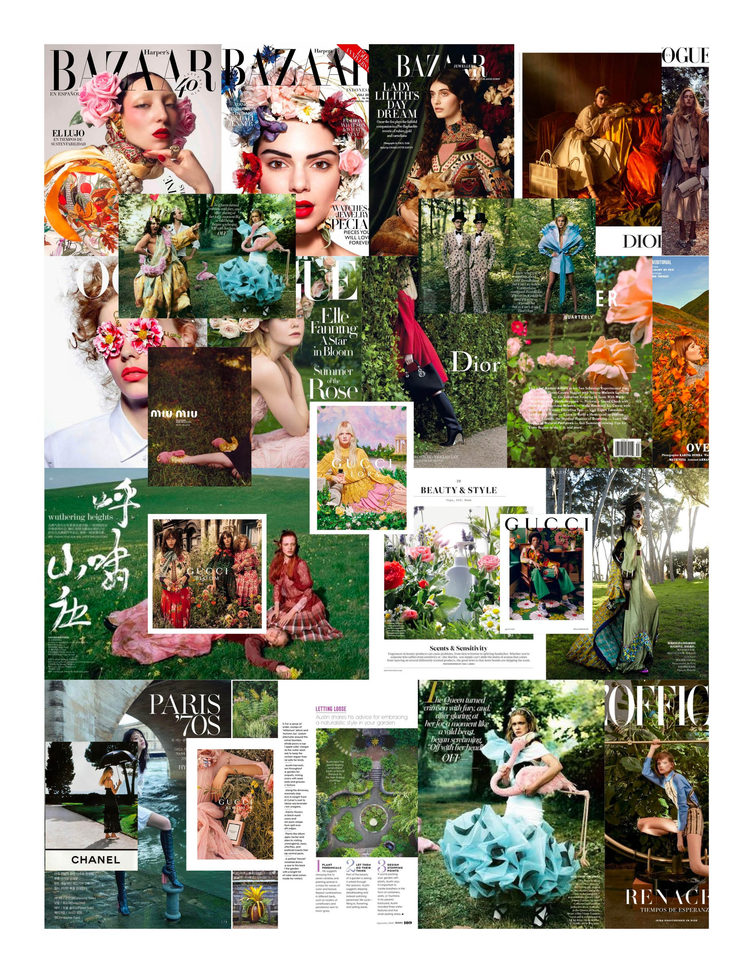 Sims_TFN_GD_GraphicDesignMoodboard.jpg