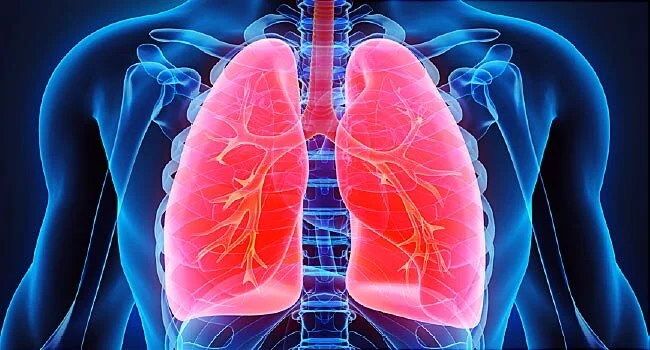 lungs.jpg