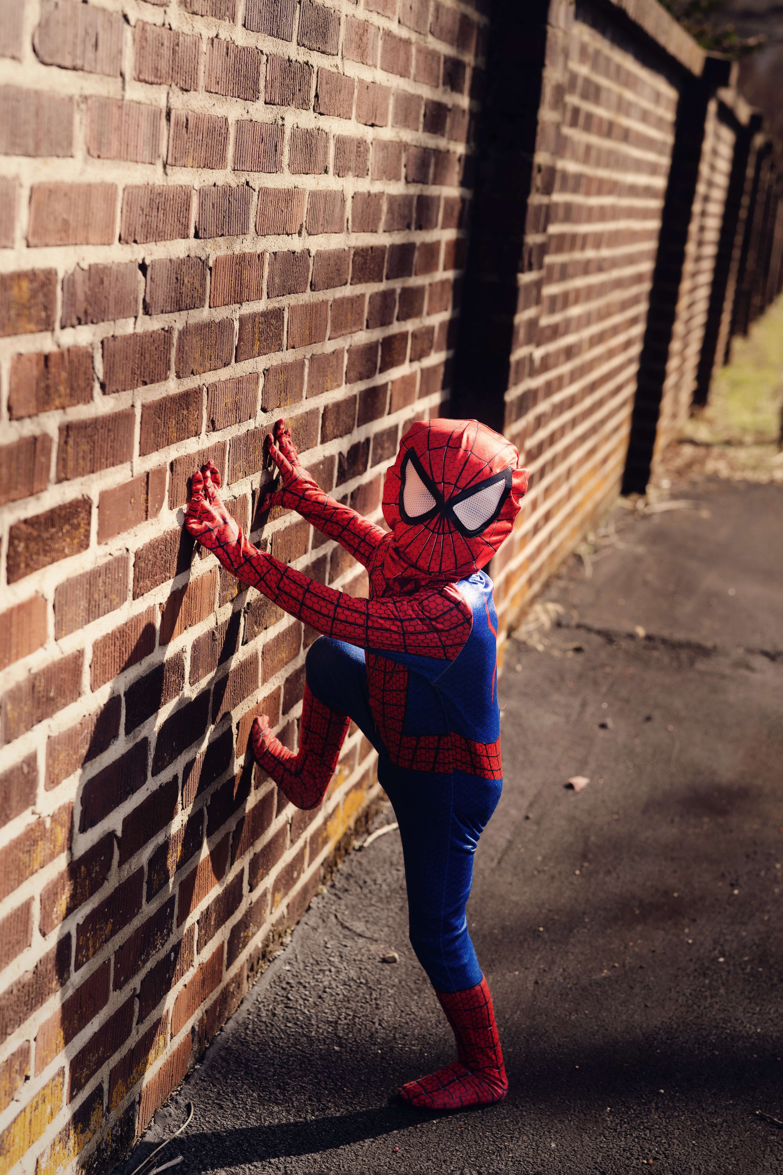 cake smash photography knoxville, baby photography knoxville, children's photographer knoxville tn, cake smash photography packages