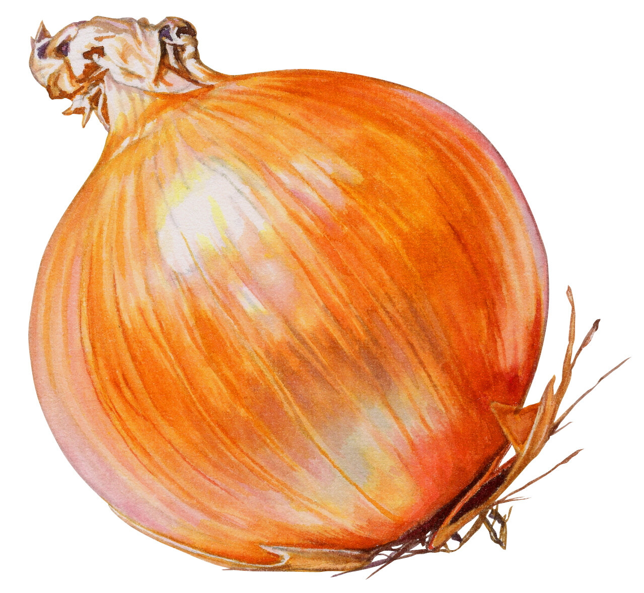 ZingOnion.jpg