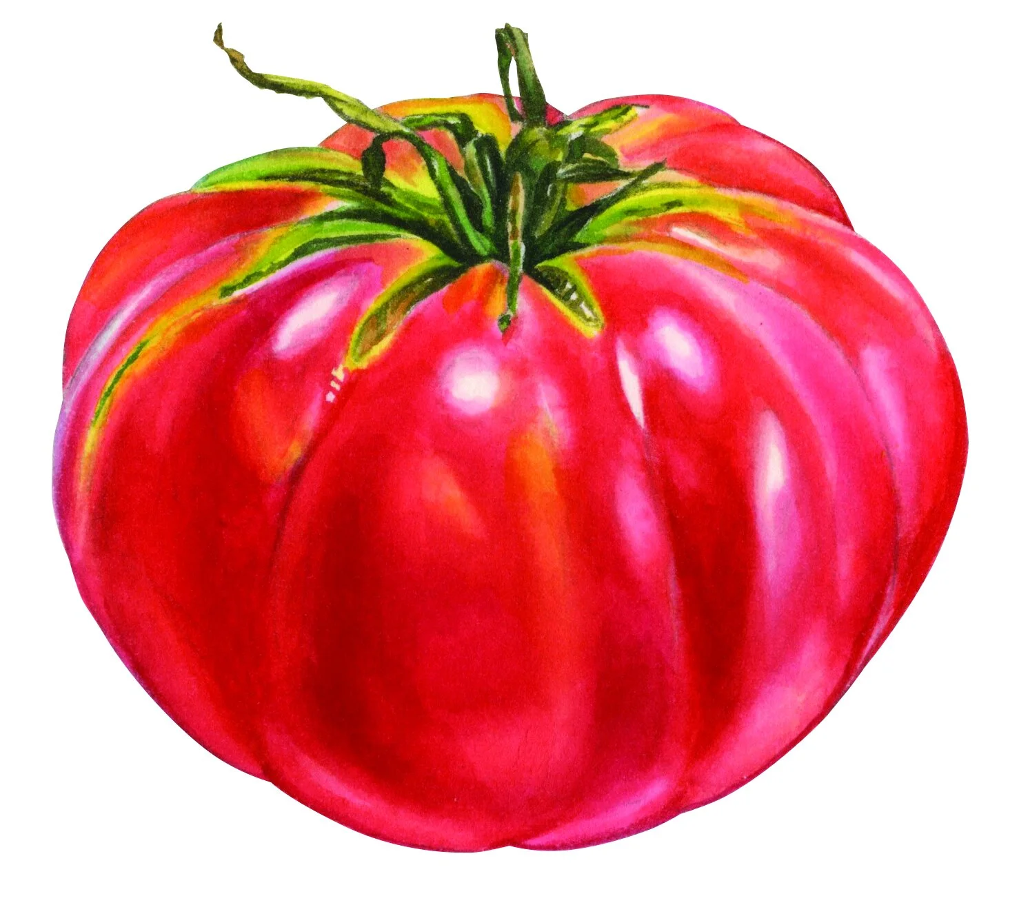 050917EBheirloomtomato.jpg
