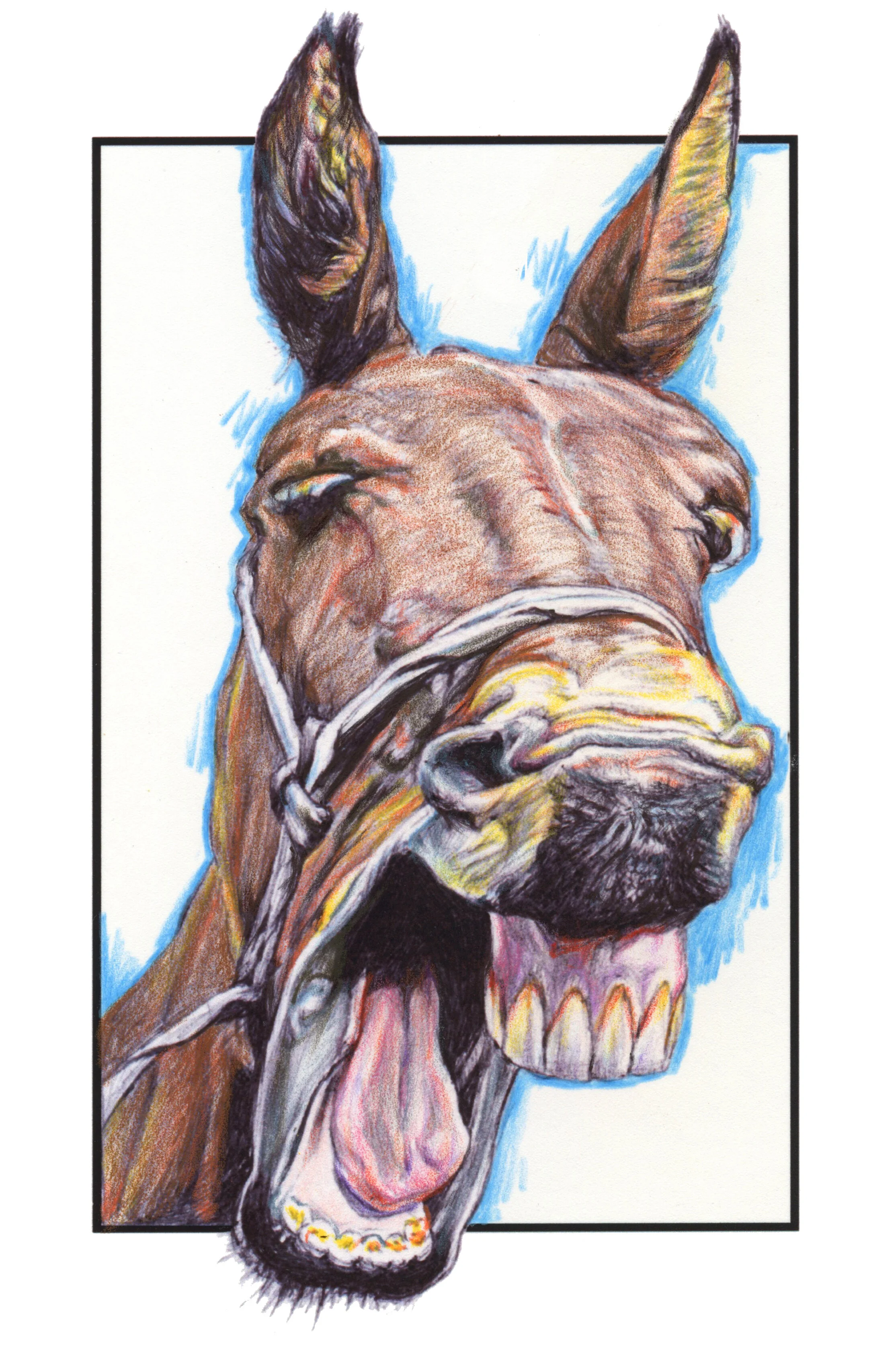 ESMuleColorBlueoutline.jpg