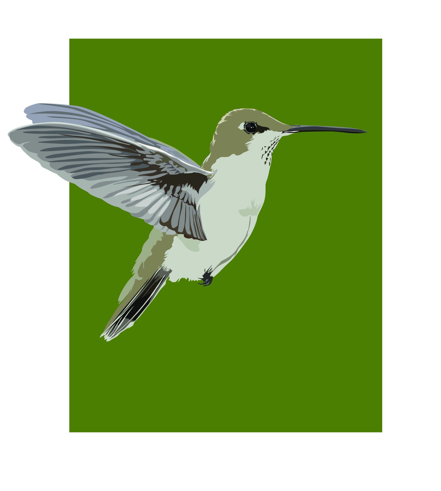 121416MMHummingbirdF.jpg
