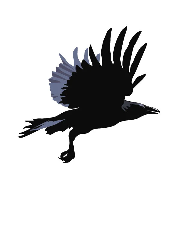 Crow-01.jpg