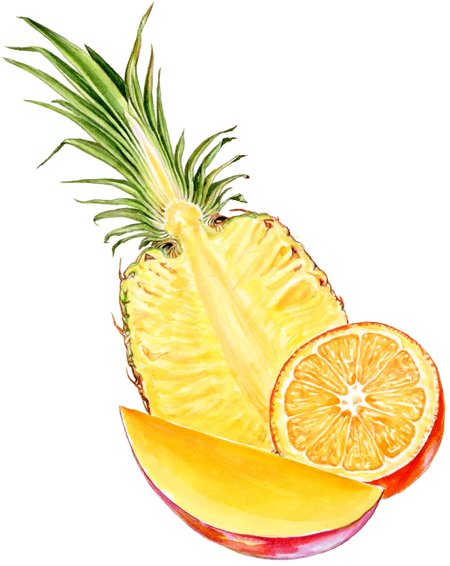 033005NNOpineaplmangorng.jpg