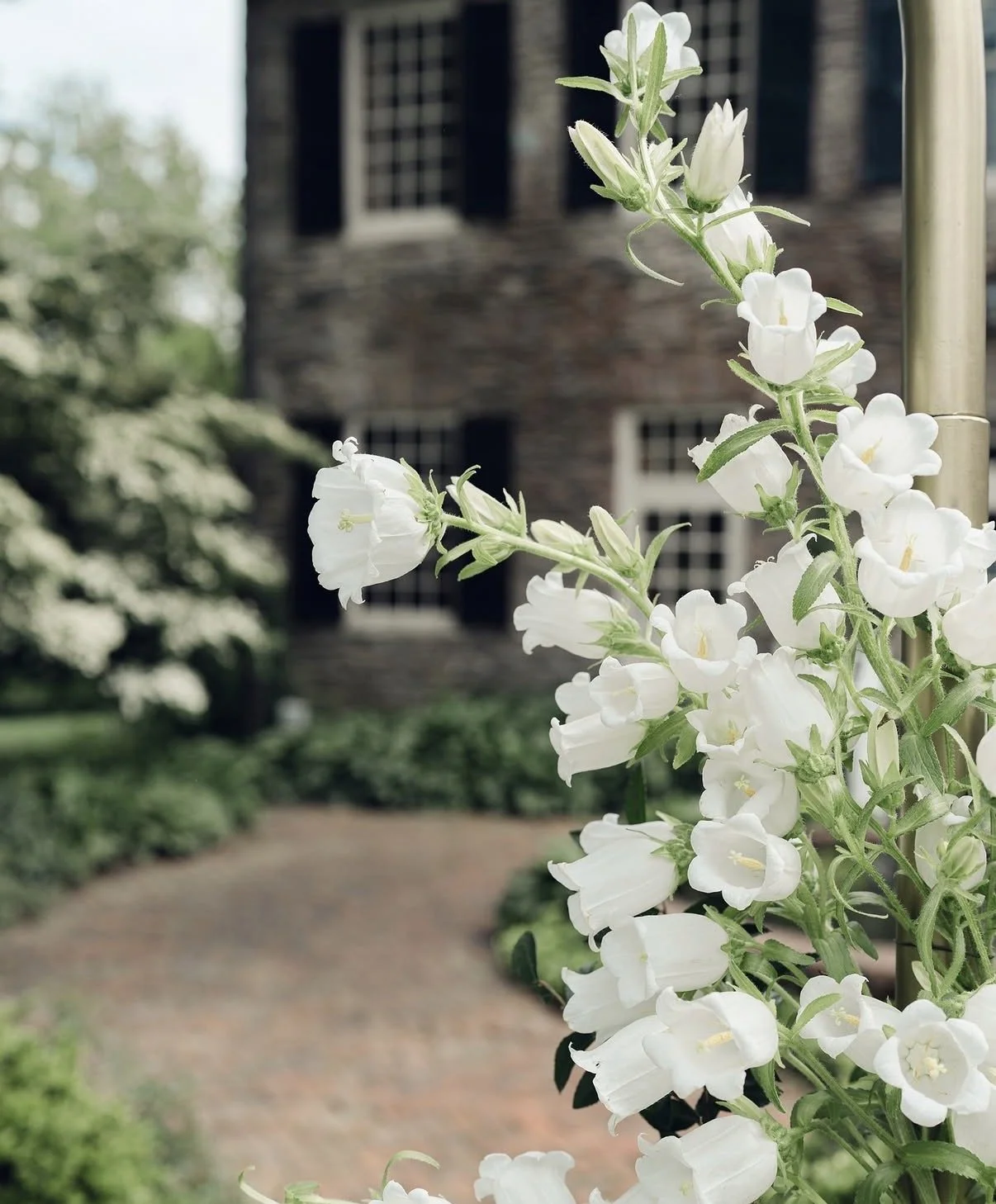 20 Questions to Ask Before Booking a Wedding Venue: The Ultimate Wedding Venue Checklist