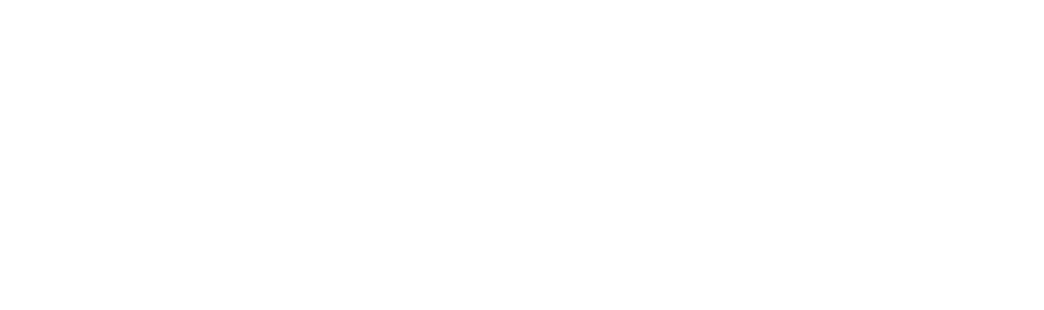 Executive Coaching and Consulting 