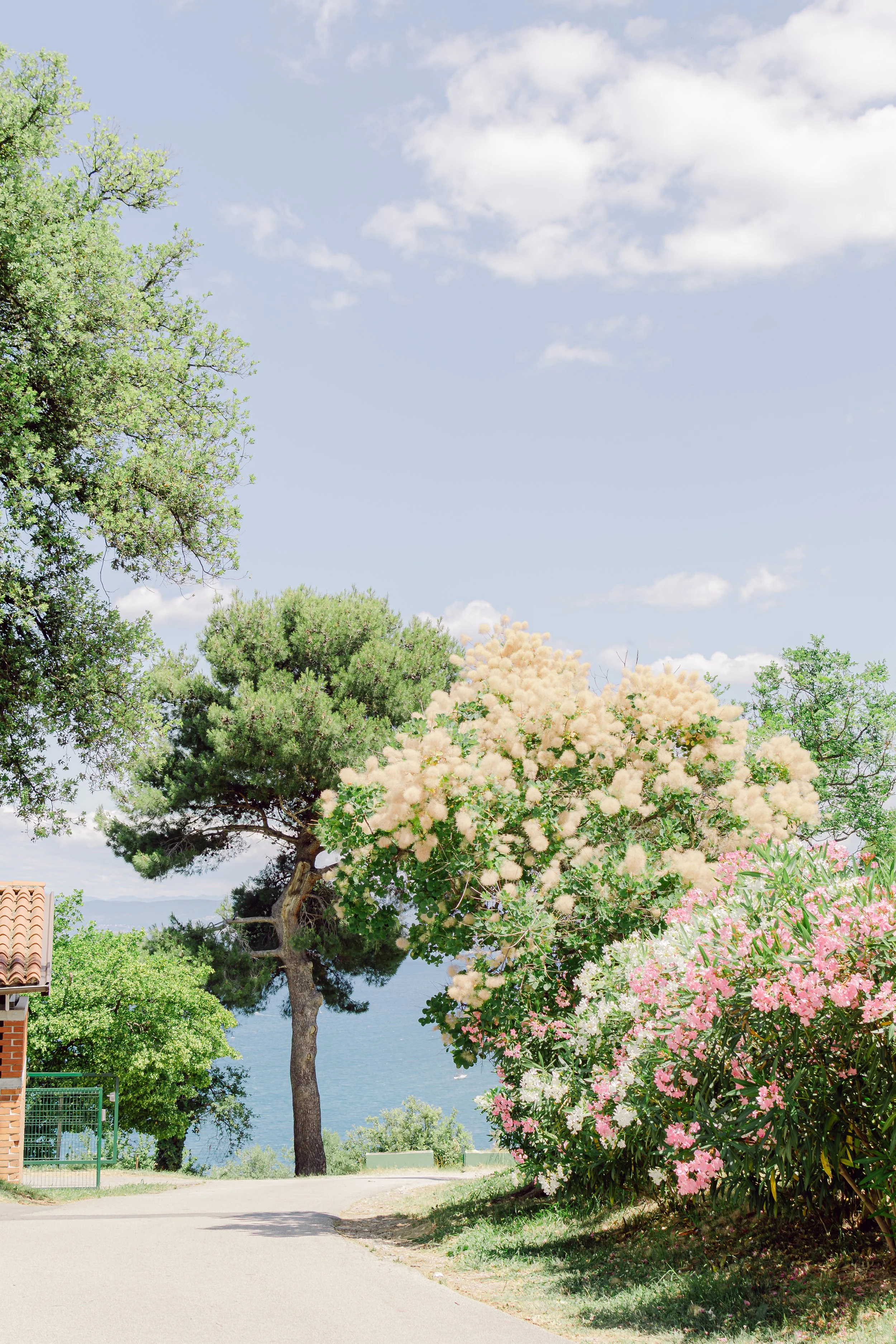 website_Evita_Luka (13 of 77).jpg