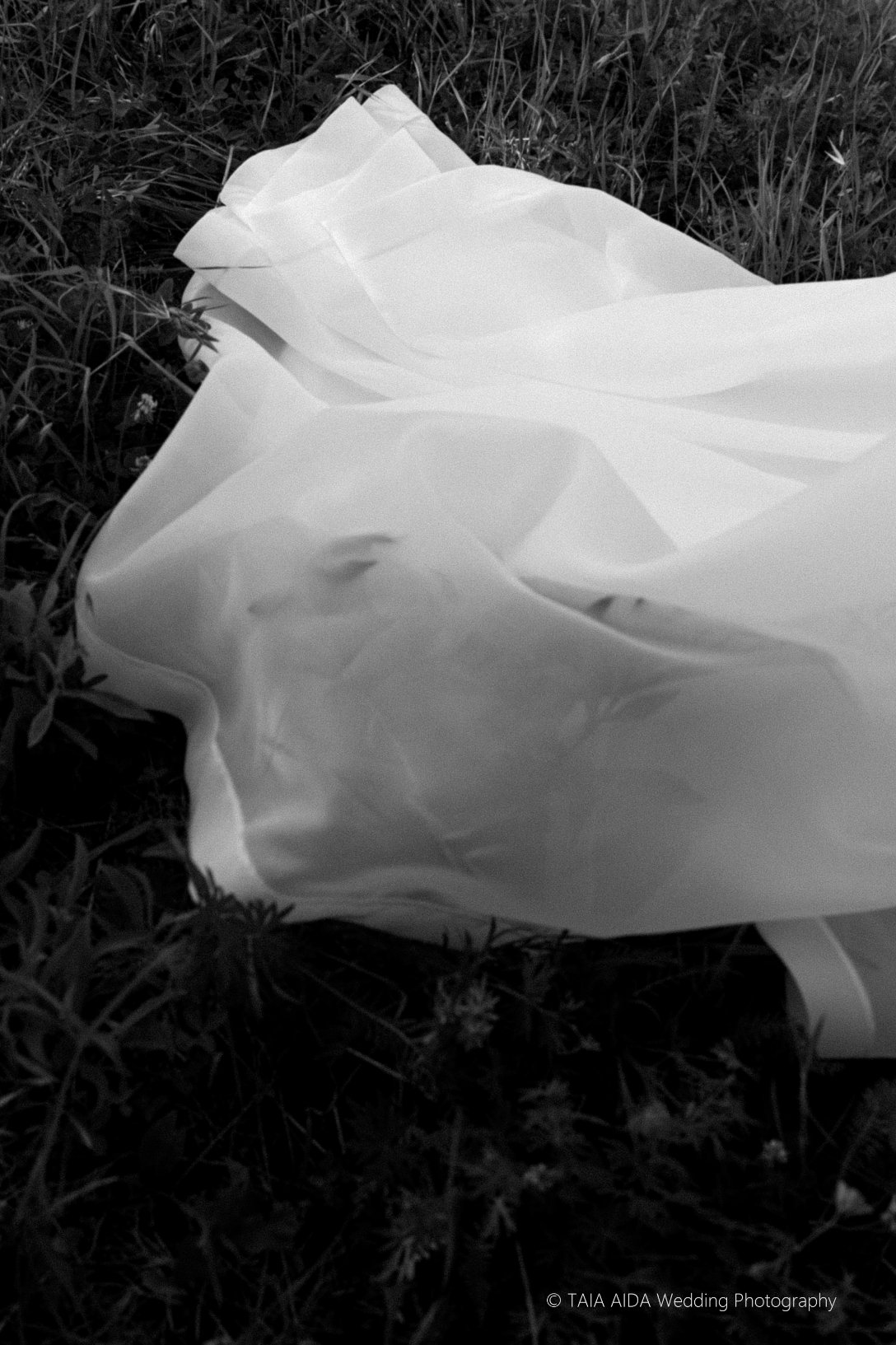 Evita Luka broad selection 2023 JPEGS (918 of 1371).jpg