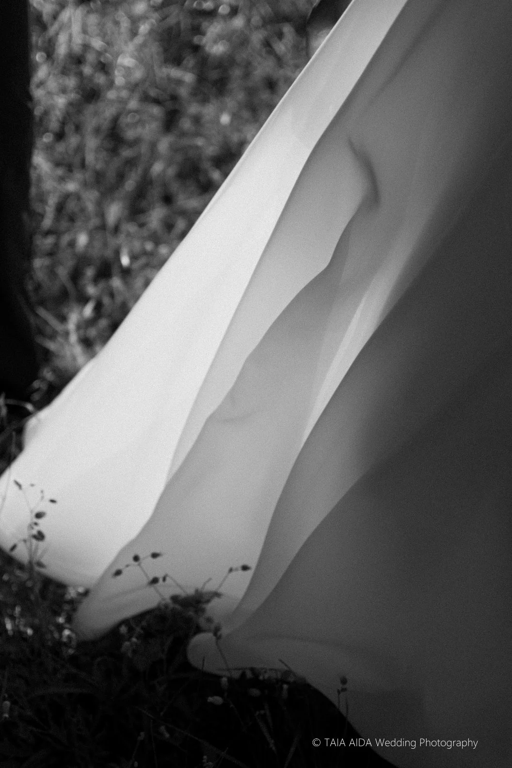 Evita Luka broad selection 2023 JPEGS (975 of 1371).jpg