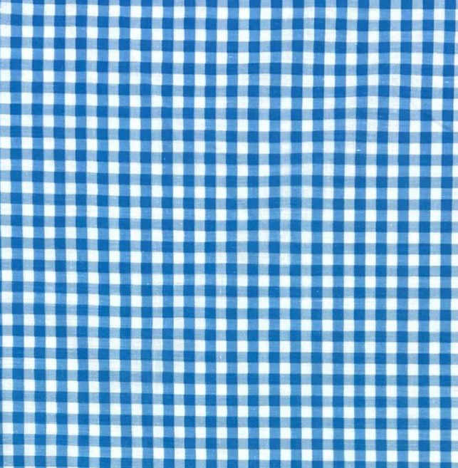 Gingham Print blue and white.jpg