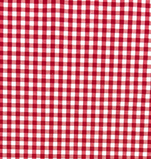 Gingham print red and white.jpg