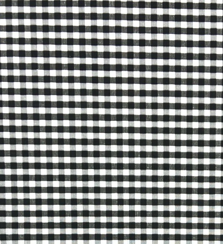 Gingham Print black and white.jpg