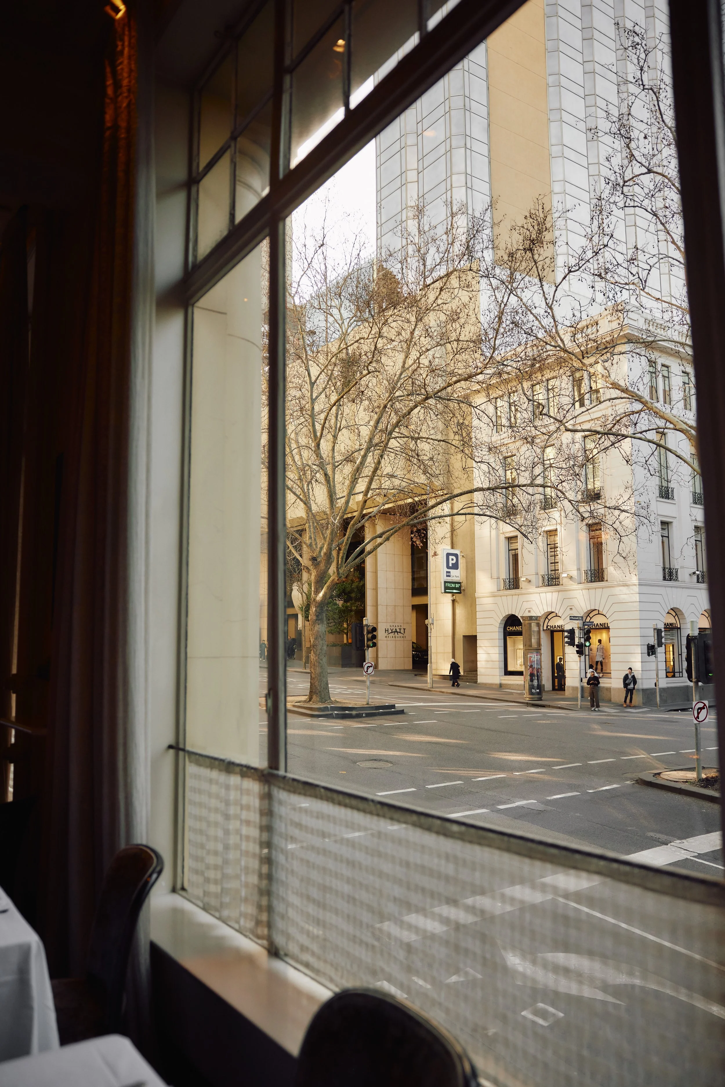 Gimlet_lr_July 82.jpg