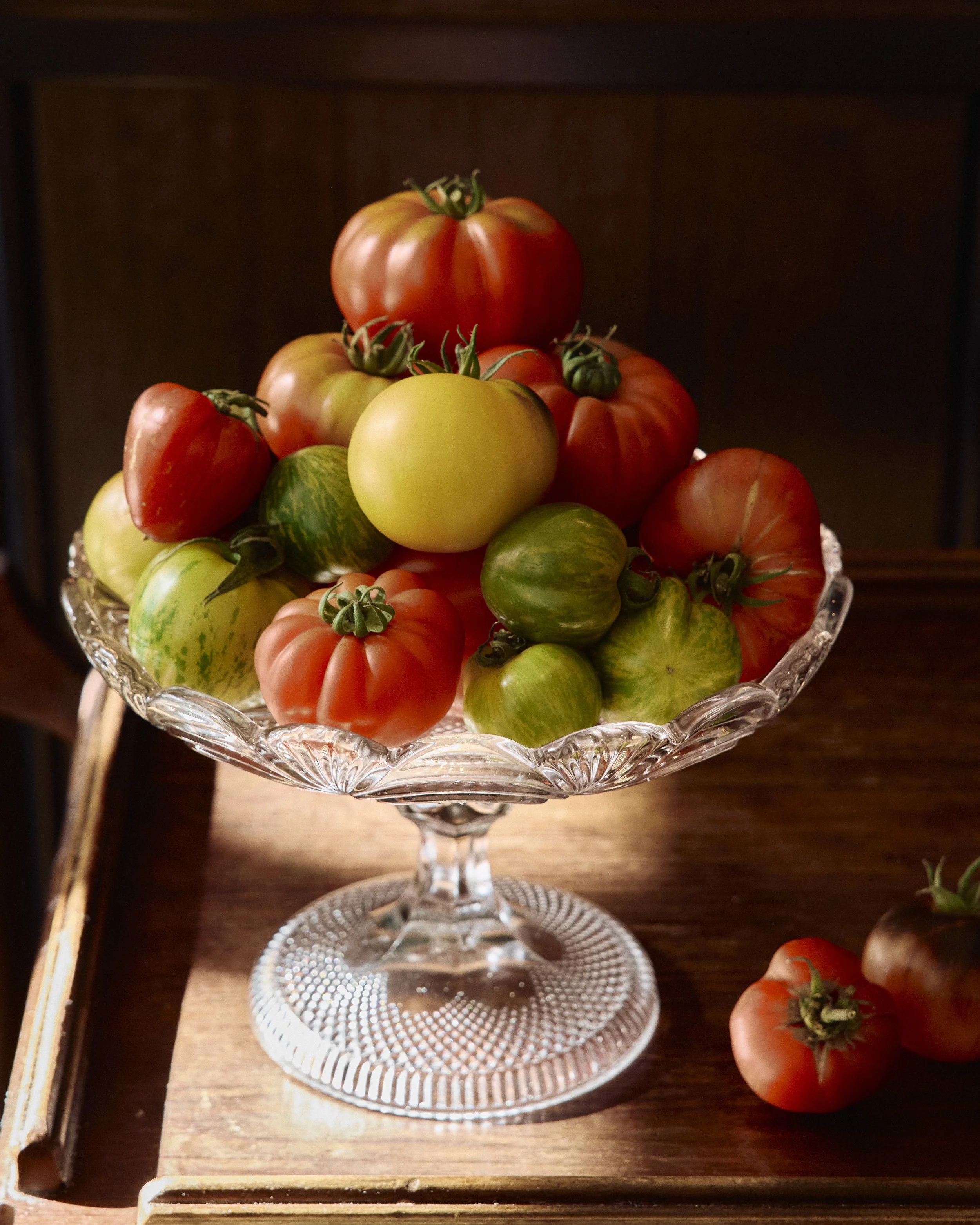 Gimlet_Feb2026_lr 4.jpg