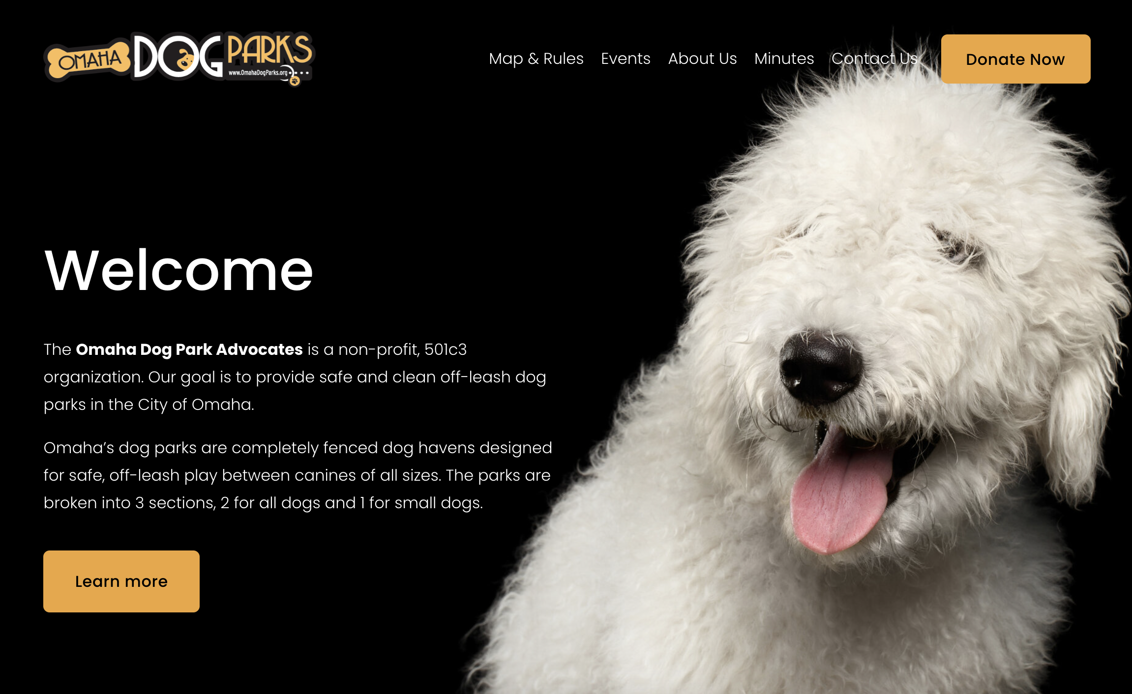 White fluffy dog next to Omaha Dog Park Advocates website description with welcome message and donate button.