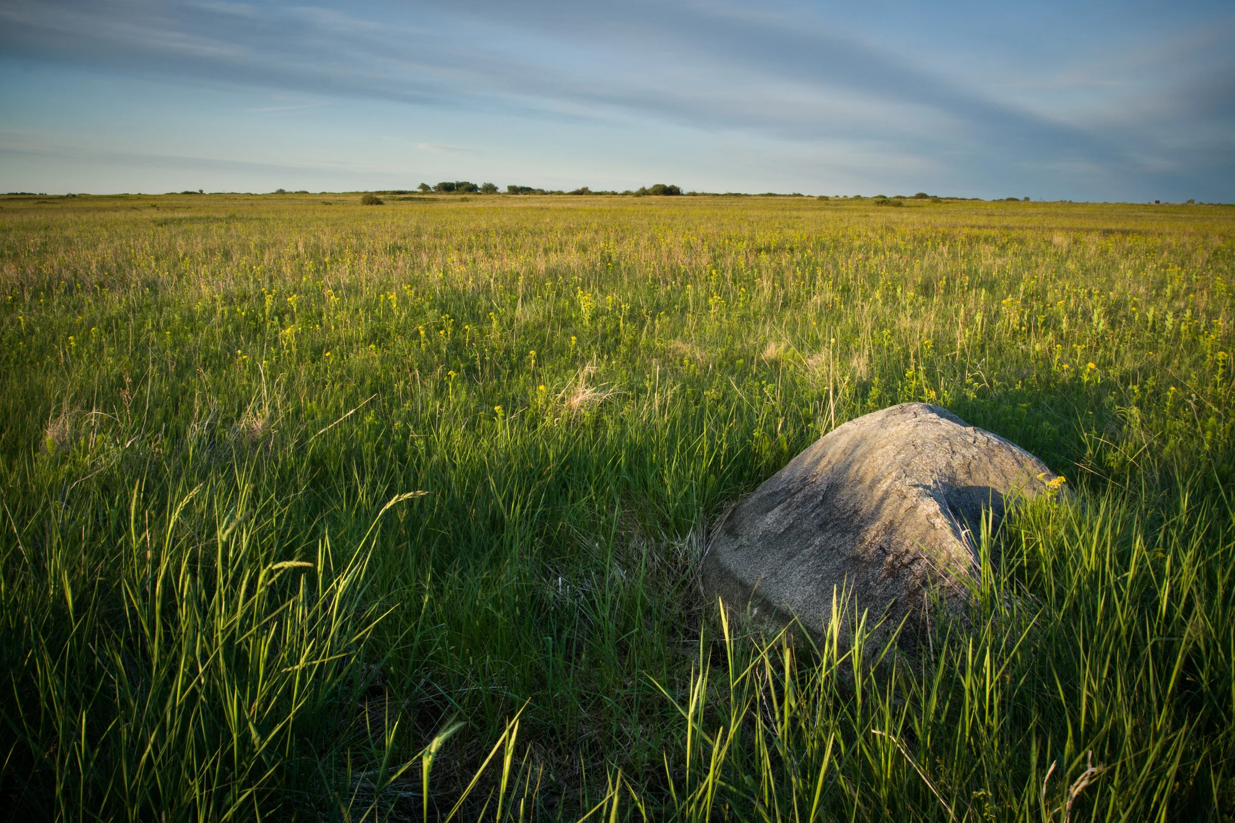 Central Grasslands Roadmap
