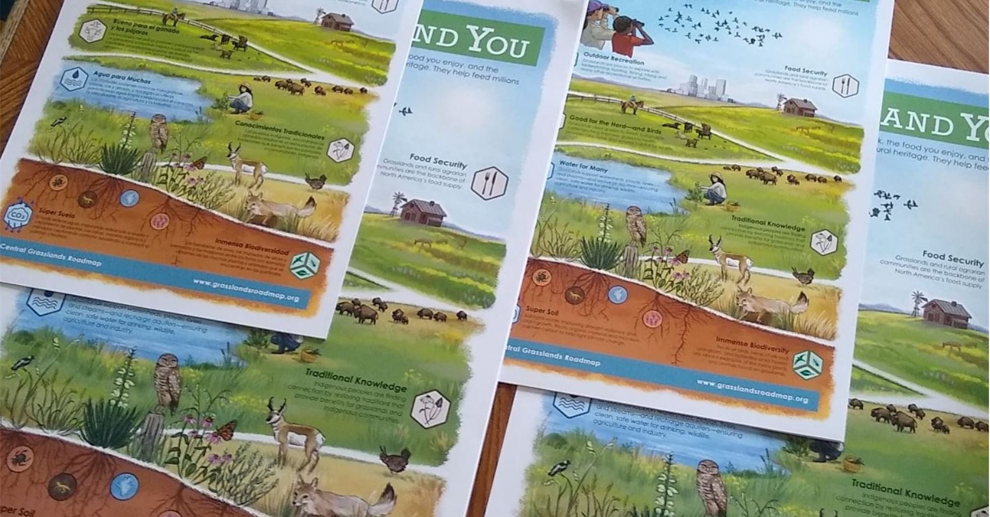 Central Grasslands Roadmap