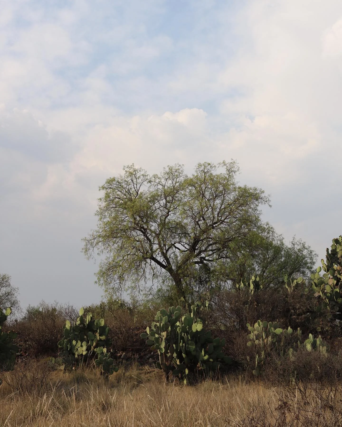 Uno mas 
Mexico City-colors&amp;textures